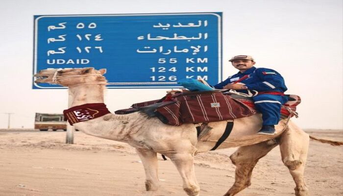 على سفينة الصحراء | من الرمال إلى الفضاء.. رحّالة يمني يشعل الخليج بجَمل ورسالة