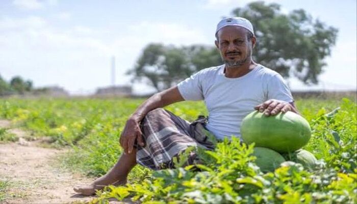 لم يشهدها اليمن | فرمانات الحصاد.. الحوثي يصادر قرار المنجل ويعيد المزارع إلى زمن عامل الإمام