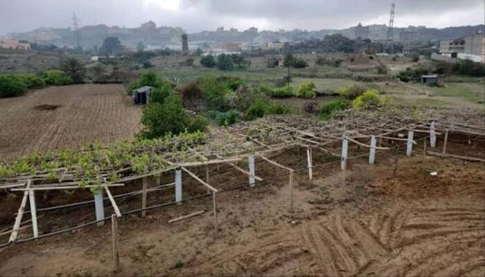 دعوة عاجلة للمزارعين في اليمن .. فلكي يبشر بتراجع حدة الصقيع خلال الساعات المقبلة